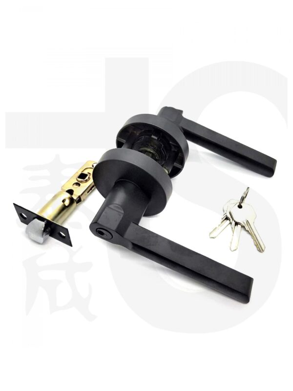 Entrance Lever Lock 1903 - G25 - Image 2